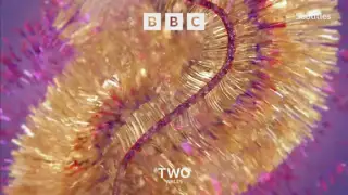 Thumbnail image for BBC Two Wales (Tinsel/Festive)  - Christmas 2021