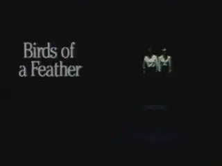 Thumbnail image for Birds of a Feather - Series 1 