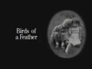 Thumbnail image for Birds of a Feather - Series 2 