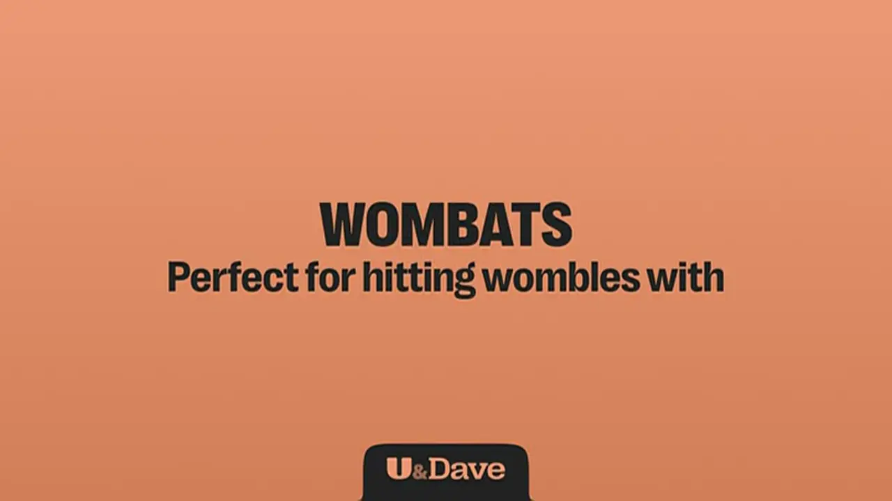 Thumbnail image for U&Dave (Break - Wombats)  - 2024