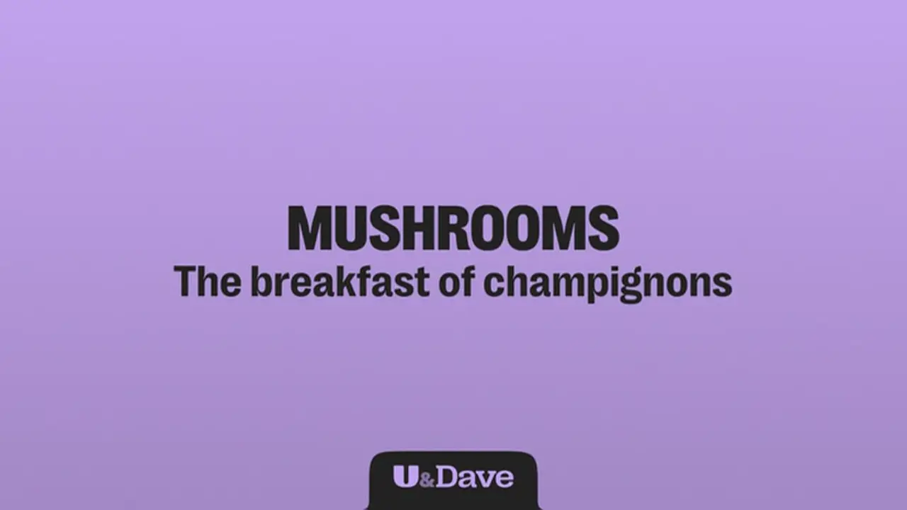 Thumbnail image for U&Dave (Break - Mushrooms)  - 2024