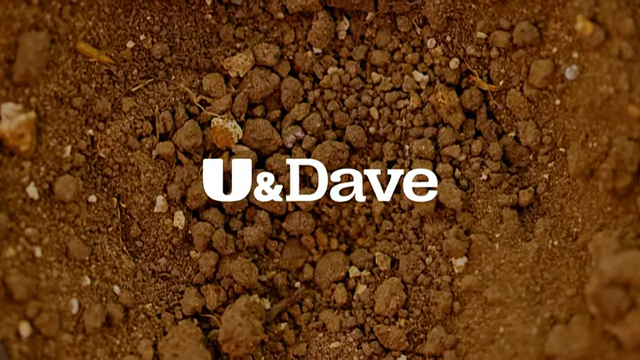 Thumbnail image for U&Dave (Break - Vibrate/Rocks)  - 2024